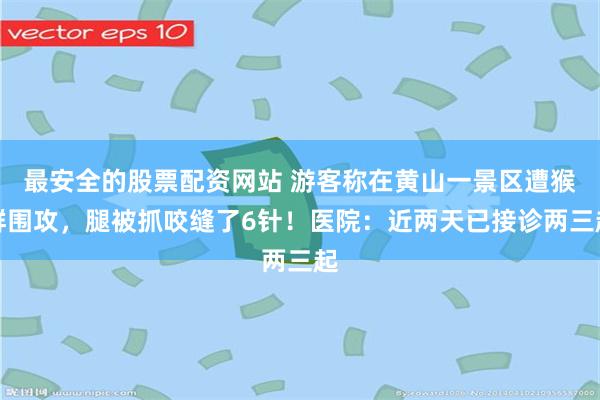 最安全的股票配资网站 游客称在黄山一景区遭猴群围攻，腿被抓咬缝了6针！医院：近两天已接诊两三起