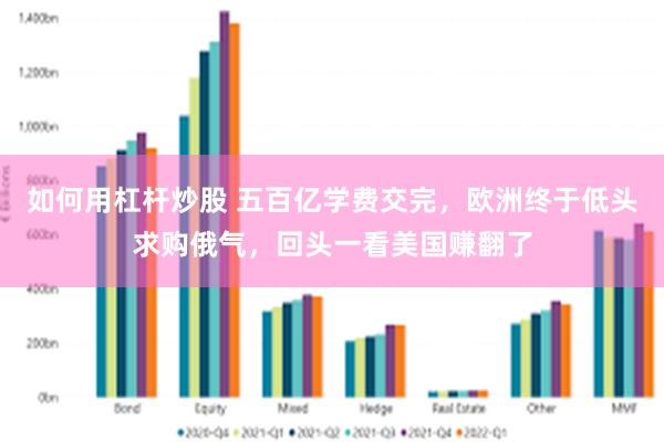如何用杠杆炒股 五百亿学费交完，欧洲终于低头求购俄气，回头一看美国赚翻了