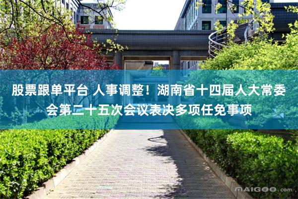 股票跟单平台 人事调整！湖南省十四届人大常委会第二十五次会议表决多项任免事项