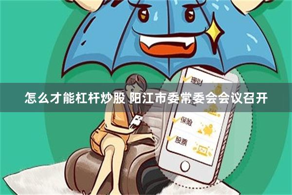怎么才能杠杆炒股 阳江市委常委会会议召开