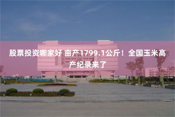 股票投资哪家好 亩产1799.1公斤！全国玉米高产纪录来了