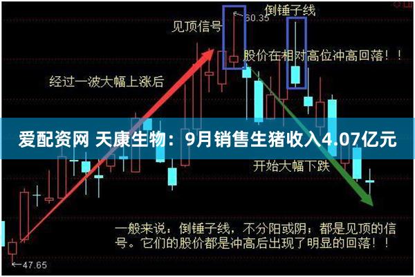 爱配资网 天康生物：9月销售生猪收入4.07亿元