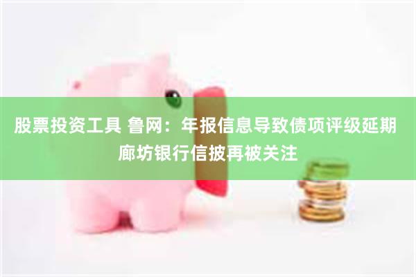 股票投资工具 鲁网：年报信息导致债项评级延期 廊坊银行信披再被关注