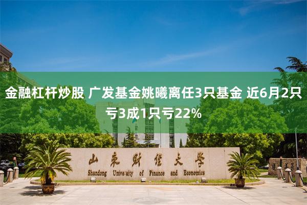 金融杠杆炒股 广发基金姚曦离任3只基金 近6月2只亏3成1只亏22%